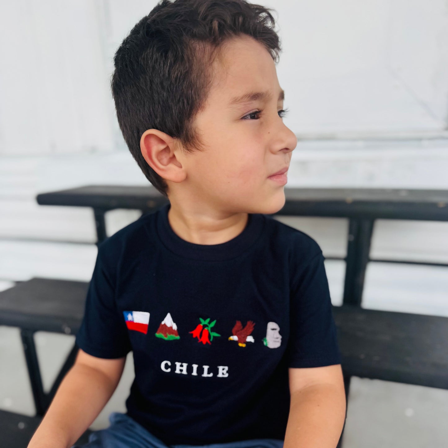 T-Shirts bordada para niño- Chile