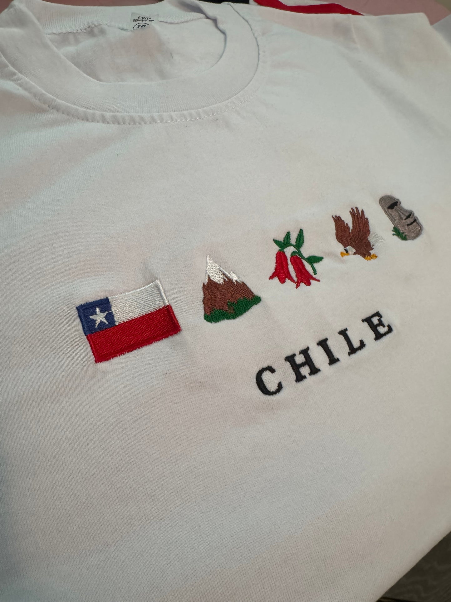 Polera de Chile bordada Unisex - Chilenos en Us