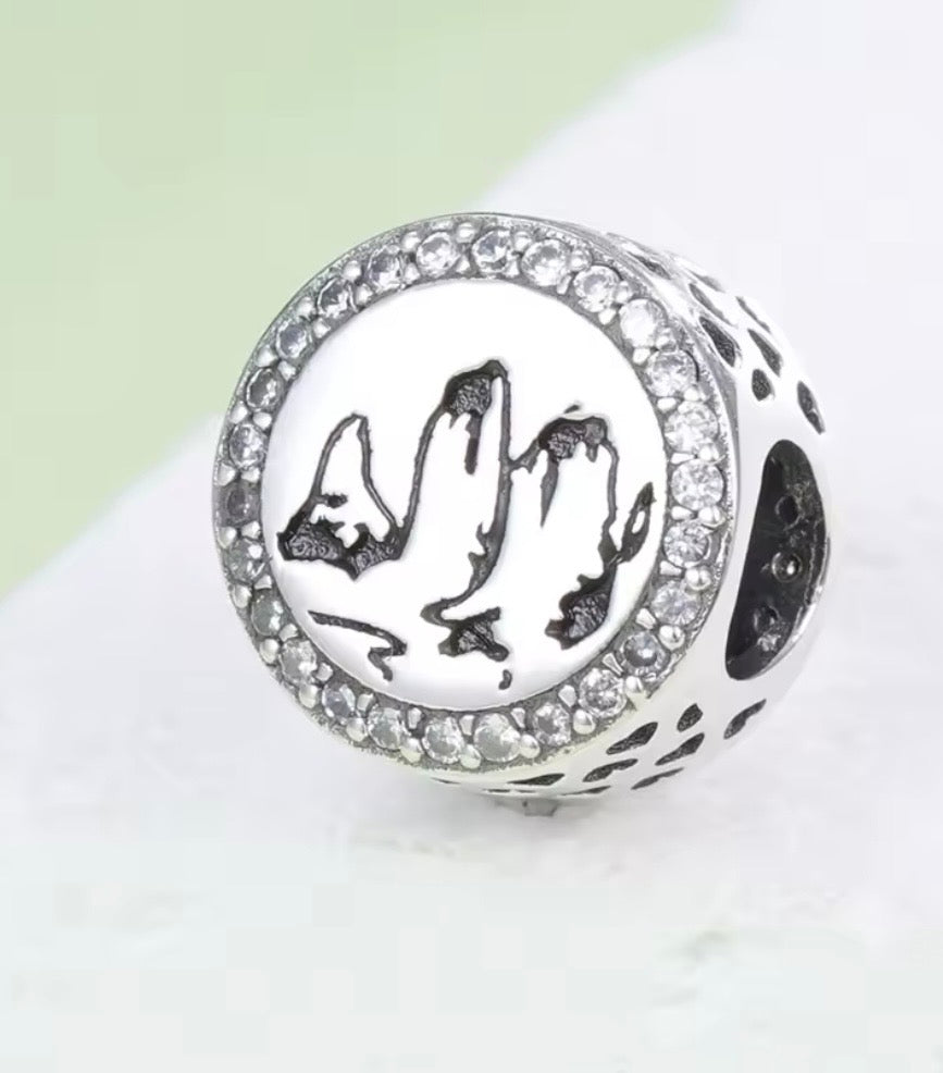 Charm de Chile Plata 925