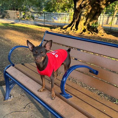Ropa de perro - Estampado Chile