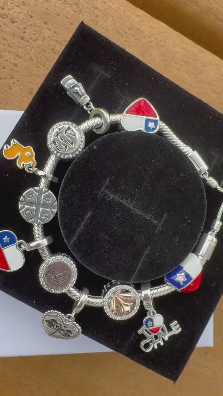 Charm de Países en Plata 925